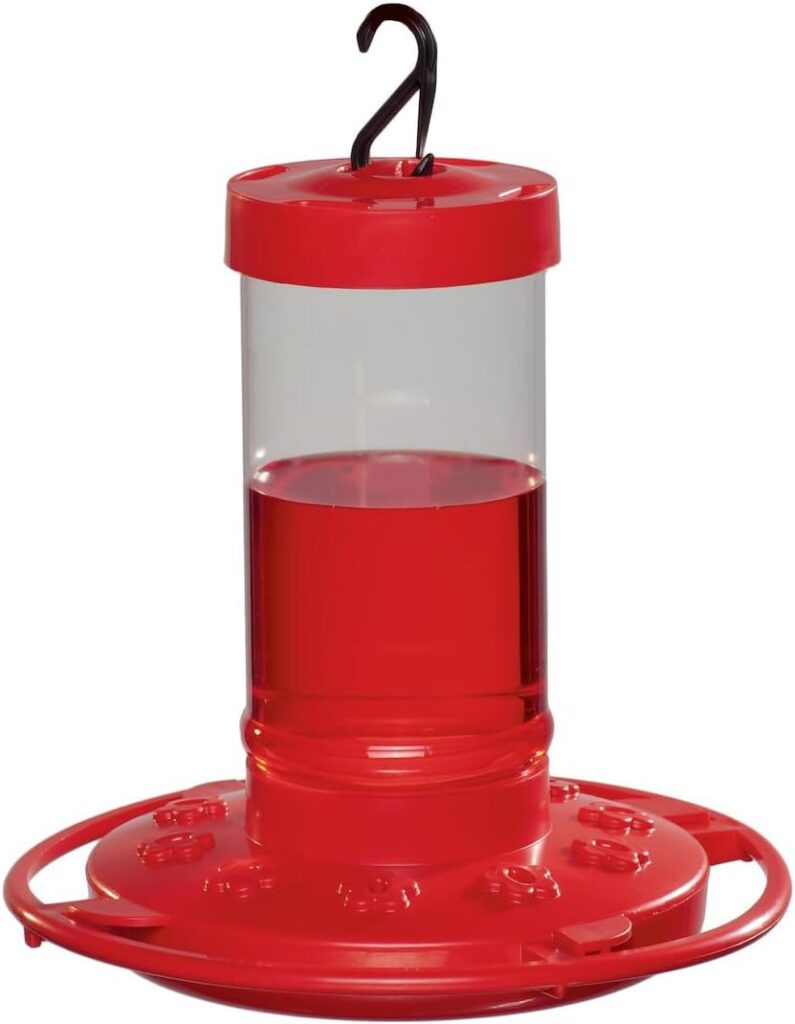 hummingbird feeder
